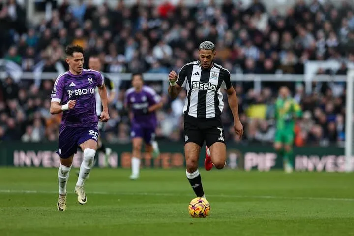 Phân tích tỷ lệ kèo Newcastle vs Fulham chi tiết nhất